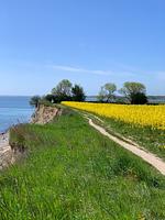Ferienhaus Silberstern - Top-Hundeurlaub