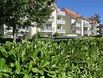 Hauptansicht - Ferienwohnung H 25 "Tausendschön" - Top-Hundeurlaub