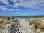 VillaStrandEins - Whg. 6 "Baltica" **** - Top-Hundeurlaub