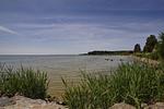 Strand - FeWo4: Terr., Garten, Badesteg - Top-Hundeurlaub
