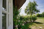Gartenblick - FeWo4: Terr., Garten, Badesteg - Top-Hundeurlaub