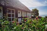 Hauptansicht - FeWo4: Terr., Garten, Badesteg - Top-Hundeurlaub