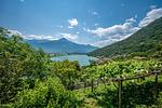 wunderschöne Nachbarschaft, atemberaubende Landschaft - Rustico Ciabott - Top-Hundeurlaub