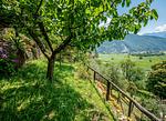 herrliche Waldumgebung mit guter Luft zum Erholen - Rustico Ciabott - Top-Hundeurlaub