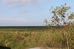 Landschaft - Strandmeerchen - Top-Hundeurlaub