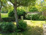 Garten - Ferienwohnung Lütje Herta - Top-Hundeurlaub