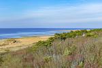 Landschaft - SG08 - Top-Hundeurlaub