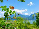 FeWo umgeben von traumhafter Landschaft - Borgo Antico - Top-Hundeurlaub