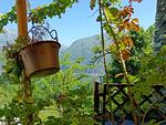 die malerische Landschaft ist direkt vom Feriendomizil aus zu sehen - Borgo Antico - Top-Hundeurlaub