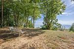 Landschaft - Ferienhaus Haffglück mit Sauna, Kamin und Terrasse mit Haffblick - Top-Hundeurlaub