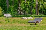 Landschaft - Ferienhaus Haff-Traum mit Kamin, Sauna und Terrasse - Top-Hundeurlaub