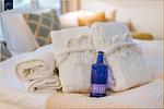 Ferienhaus Haff-Sommer - Top-Hundeurlaub