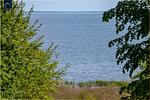 Ferienhaus Haff-Sommer - Top-Hundeurlaub