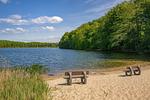 Strand - Ferienhaus Im Kiefernwäldchen mit Sauna, Kamin und Terrasse - Top-Hundeurlaub