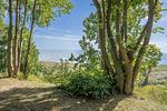 Landschaft - Ferienhaus Im Kiefernwäldchen mit Sauna, Kamin und Terrasse - Top-Hundeurlaub
