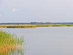 Landschaft - FLOATING HOUSES - "schwimmende Ferienhäuser" in Barth - Haus 1 - Top-Hundeurlaub