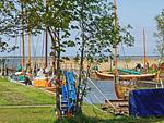 Landschaft - FLOATING HOUSES - "schwimmende Ferienhäuser" in Barth - Haus 1 - Top-Hundeurlaub