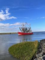 Nachbarschaft - Nurdachhaus KLÄRCHEN - Top-Hundeurlaub