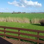 Landschaft - Nurdachhaus PIRATEN WIGWAM - Top-Hundeurlaub