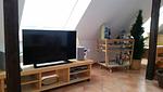 TV / Multimedia - Ferienwohnung HENKEL - Top-Hundeurlaub