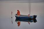 Nachbarschaft - Floating Houses - schwimmende Ferienhäuser in Kröslin - Haus 1 - Top-Hundeurlaub