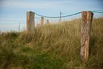 Strand - Haus 1 Apartment 2 - Top-Hundeurlaub
