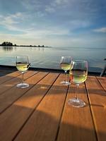 Chalet Sonnenplätzchen mit Zaun Zweite Reihe Haus Nr. 229 - Top-Hundeurlaub