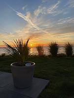 Chalet Beach Oase Erste Reihe mit Zaun Haus Nr. 248 - Top-Hundeurlaub