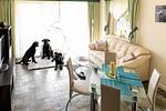 Mühlenstr. 19 Wg.2 - Top-Hundeurlaub