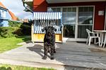 Mühlenstr. 19 Wg.2 - Top-Hundeurlaub