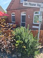 Terrasse - Amei's Huuske Wohnung Tomma EG - Top-Hundeurlaub