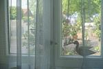 Wohnung Geelina EG - Top-Hundeurlaub