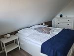 Haus Wattkieker - Top-Hundeurlaub