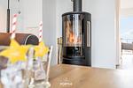 Kamin-/Ofen - Ferienwohnung Relax Olpenitz - Top-Hundeurlaub