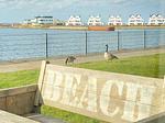 Meerblick - Ferienwohnung Pier 21 Olpenitz - Top-Hundeurlaub