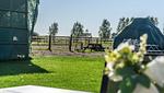 Reitanlage - Immensee App. B - Top-Hundeurlaub