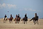 Reiten - Immensee App. H - Top-Hundeurlaub
