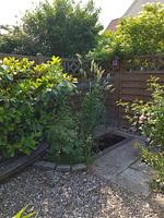 Dekoratives Detail - Muschelkästchen OG - Top-Hundeurlaub