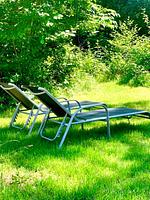 Garten - Haus Meeresluft Seepferd - Top-Hundeurlaub