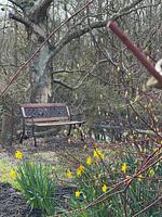 Garten - Haus Meeresluft Seepferd - Top-Hundeurlaub