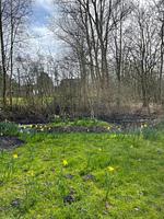 Garten - Haus Meeresluft Seepferd - Top-Hundeurlaub