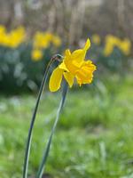Umgebung - Haus Meeresluft Muschel - Top-Hundeurlaub
