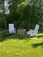Weltkate - Top-Hundeurlaub
