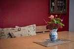Dekoratives Detail - Appelboom - Top-Hundeurlaub