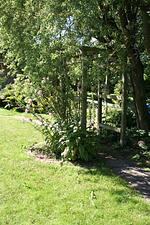 Garten - Landhaus Everschop - Top-Hundeurlaub