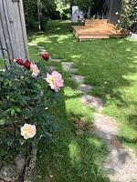 Garten - Landhaus Everschop - Top-Hundeurlaub