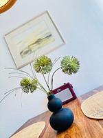 Kajüte 17 - Top-Hundeurlaub