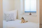 "La Belle Vie" - Top-Hundeurlaub