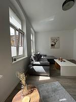 Altstadtmoment - Top-Hundeurlaub