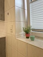 Altstadtmoment - Top-Hundeurlaub